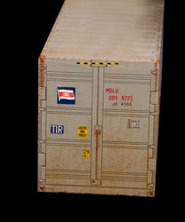 20' Shipping Container - 28MMDF151-1 (Online Order Only)