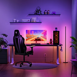 PC Screen Mirror Lightstrip (ONLINE ORDER ONLY)