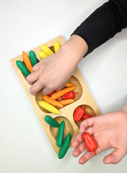 Sorting: Veggie 4-Compartment Kit (ONLINE ORDER ONLY)