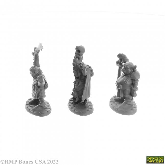 Bones Dungeon Dwellers: Goblin Elites (3) (ONLINE ORDER ONLY)