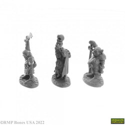 Bones Dungeon Dwellers: Goblin Elites (3) (ONLINE ORDER ONLY)