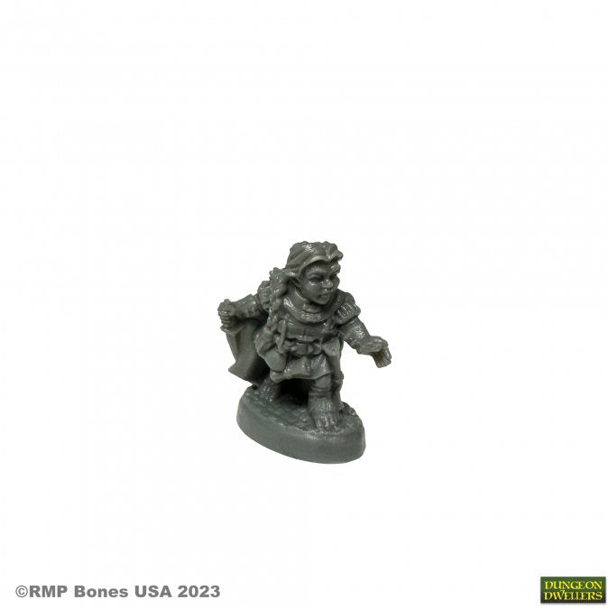 Dungeon Dwellers: Molly Copperpot, Thief (ONLINE ORDER ONLY)