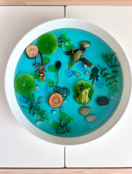 Pond Life Cycle Sensory Kit And Water Play (ONLINE ORDER ONLY)