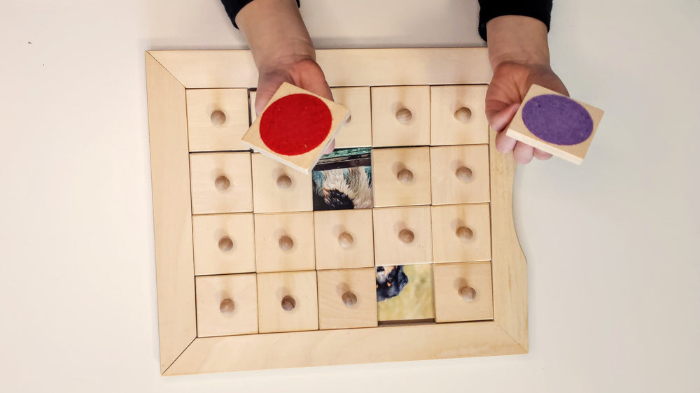 Color Match & Memory Game (ONLINE ORDER ONLY)