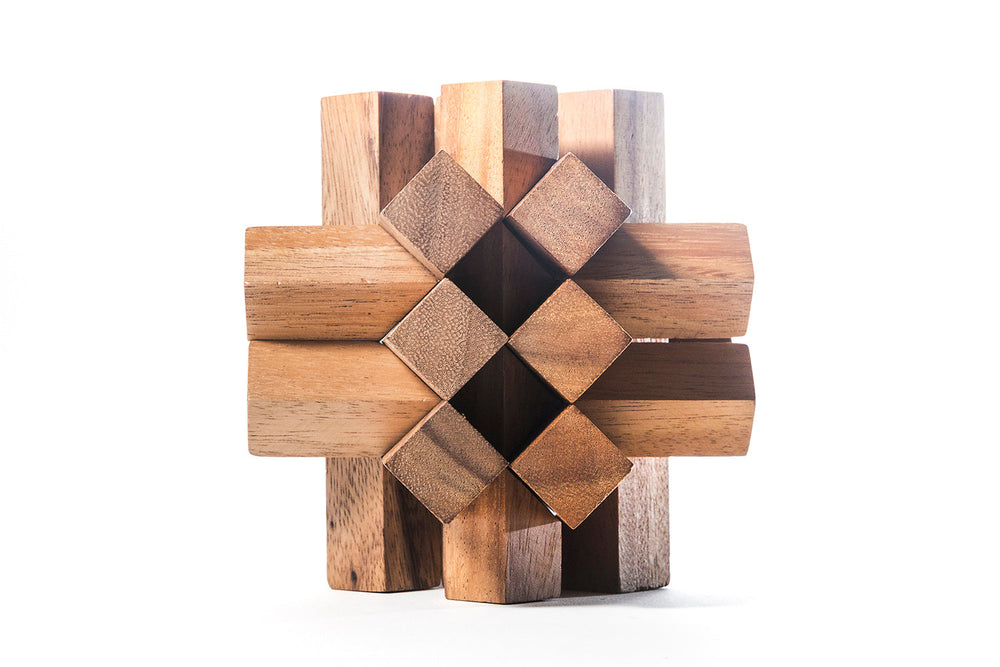 Locked Bricks Construction Puzzle (Online Order Only)