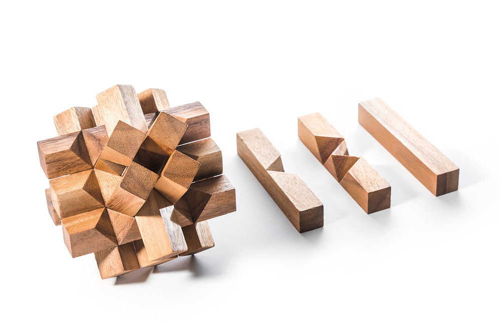 Locked Bricks Construction Puzzle (Online Order Only)