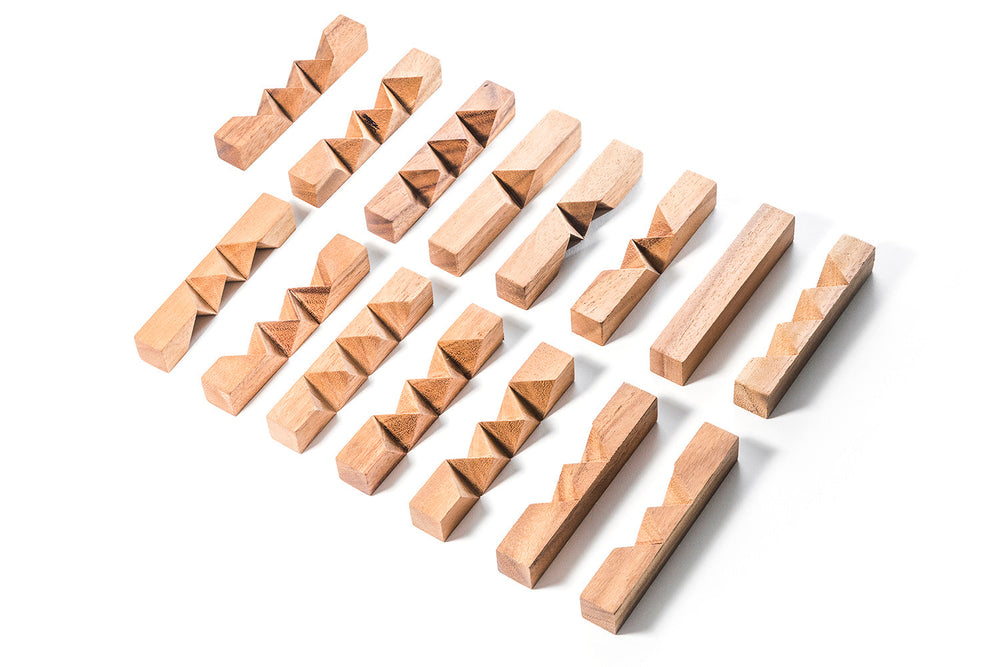 Locked Bricks Construction Puzzle (Online Order Only)