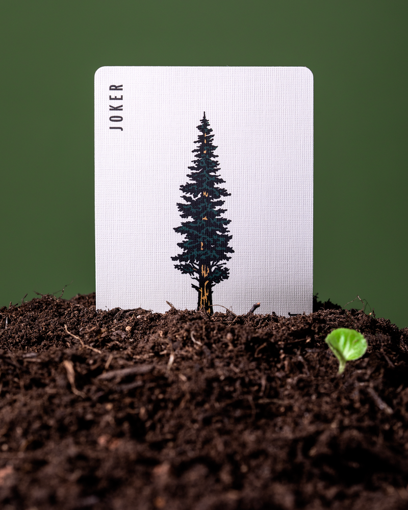 Limited Brown Edition Smokey Bear Playing Cards (ONLINE ORDER ONLY)