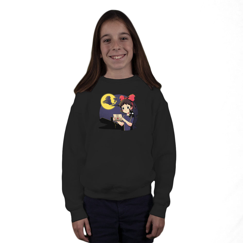 You Have Been Accepted (Online Order Only)