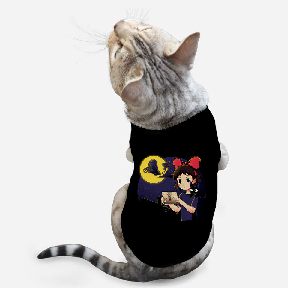 You Have Been Accepted (Online Order Only)