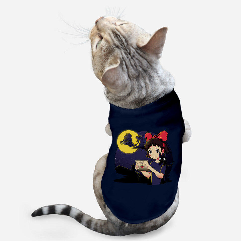 You Have Been Accepted (Online Order Only)