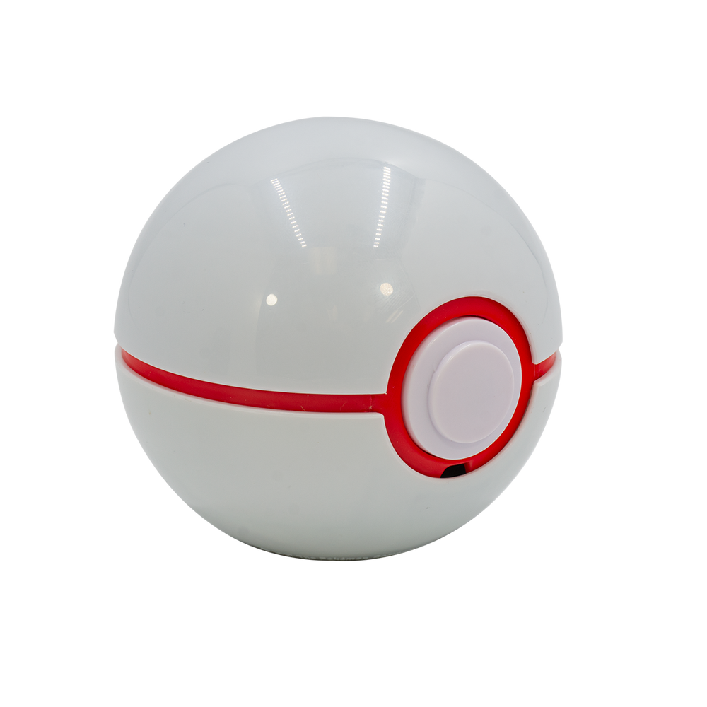 Pokémon Trainer Guess Sinnoh Edition (ONLINE ORDER ONLY)