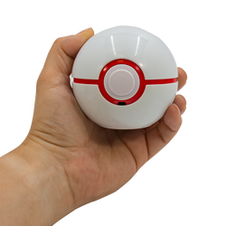 Pokémon Trainer Guess Sinnoh Edition (ONLINE ORDER ONLY)
