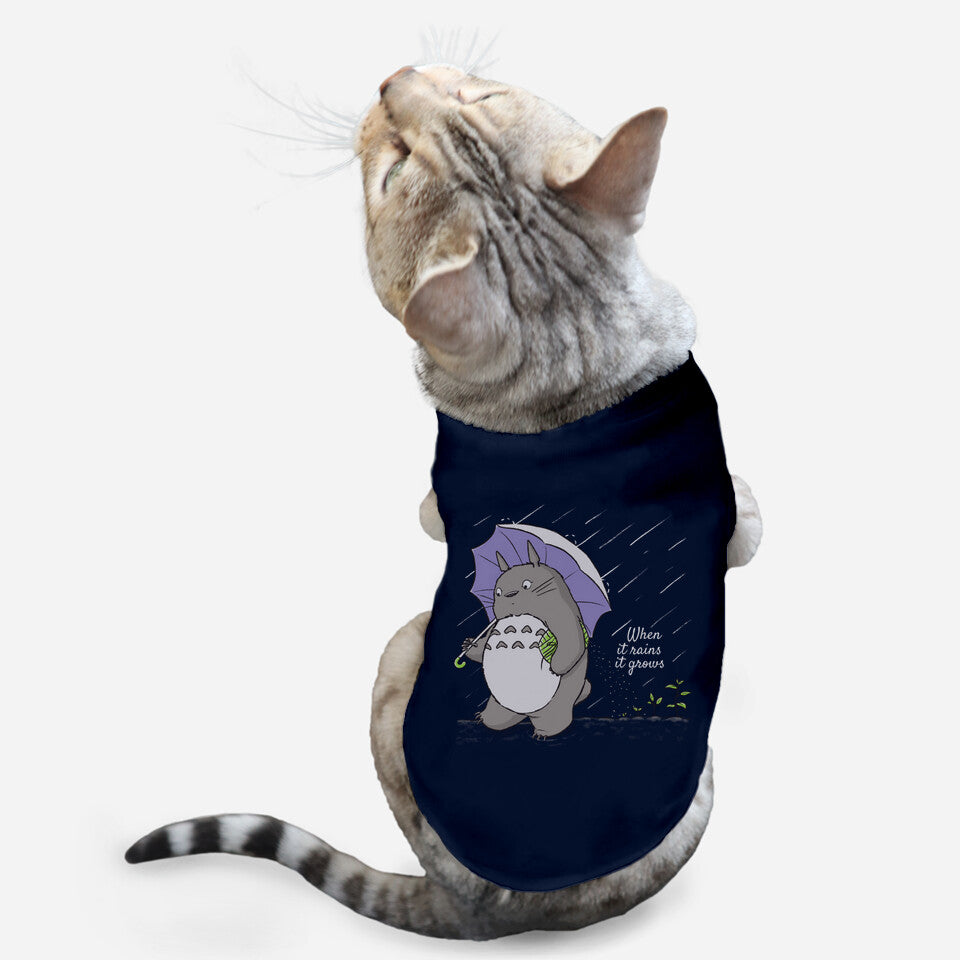 When It Rains (Online Order Only)