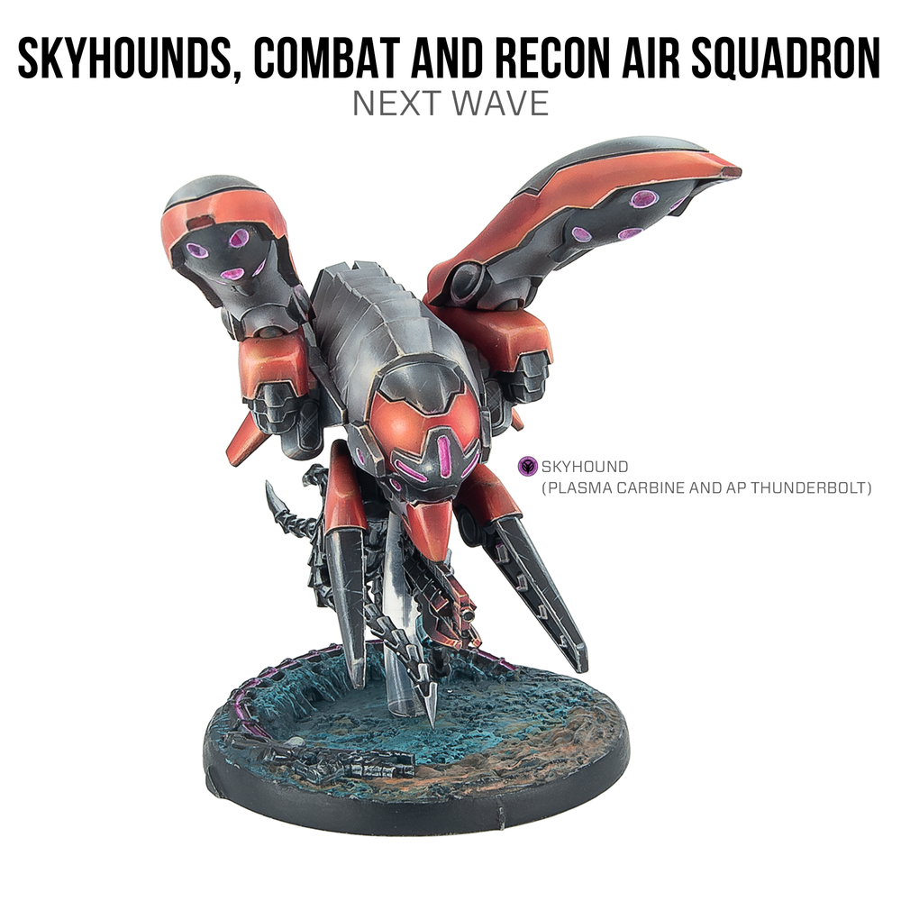 Skyhounds, Combat and Recon Air Squadron