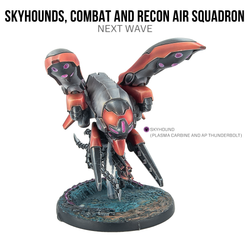 Skyhounds, Combat and Recon Air Squadron