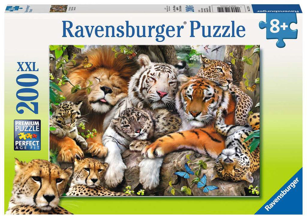 Puzzle: Big Cat Nap