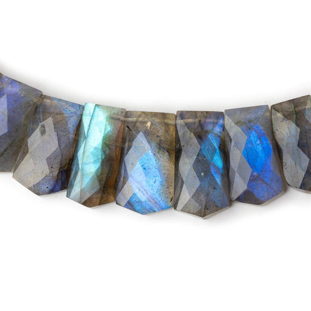 14x9-23x11mm Labradorite double drilled fancy shape collar 40 beads (ONLINE ORDER ONLY)