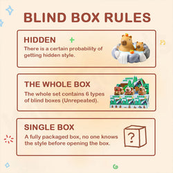 Little Bean Capybara Series Blind Box (1 Blind Box) (ONLINE ORDER ONLY)