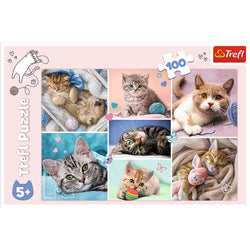 Trefl Red 100 Piece Kids Puzzle - In the cat world (ONLINE ORDER ONLY)