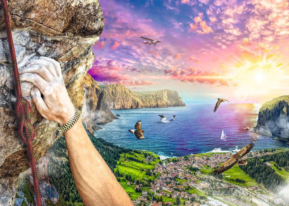 Puzzle: Rock Climbing (ONLINE ORDER ONLY)
