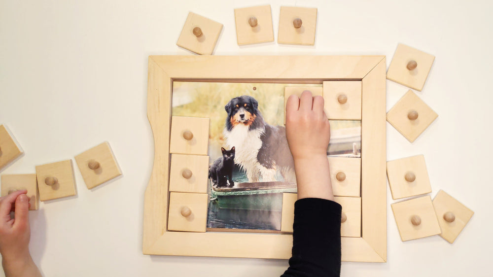 Color Match & Memory Game (ONLINE ORDER ONLY)