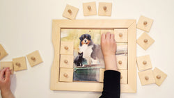 Color Match & Memory Game (ONLINE ORDER ONLY)