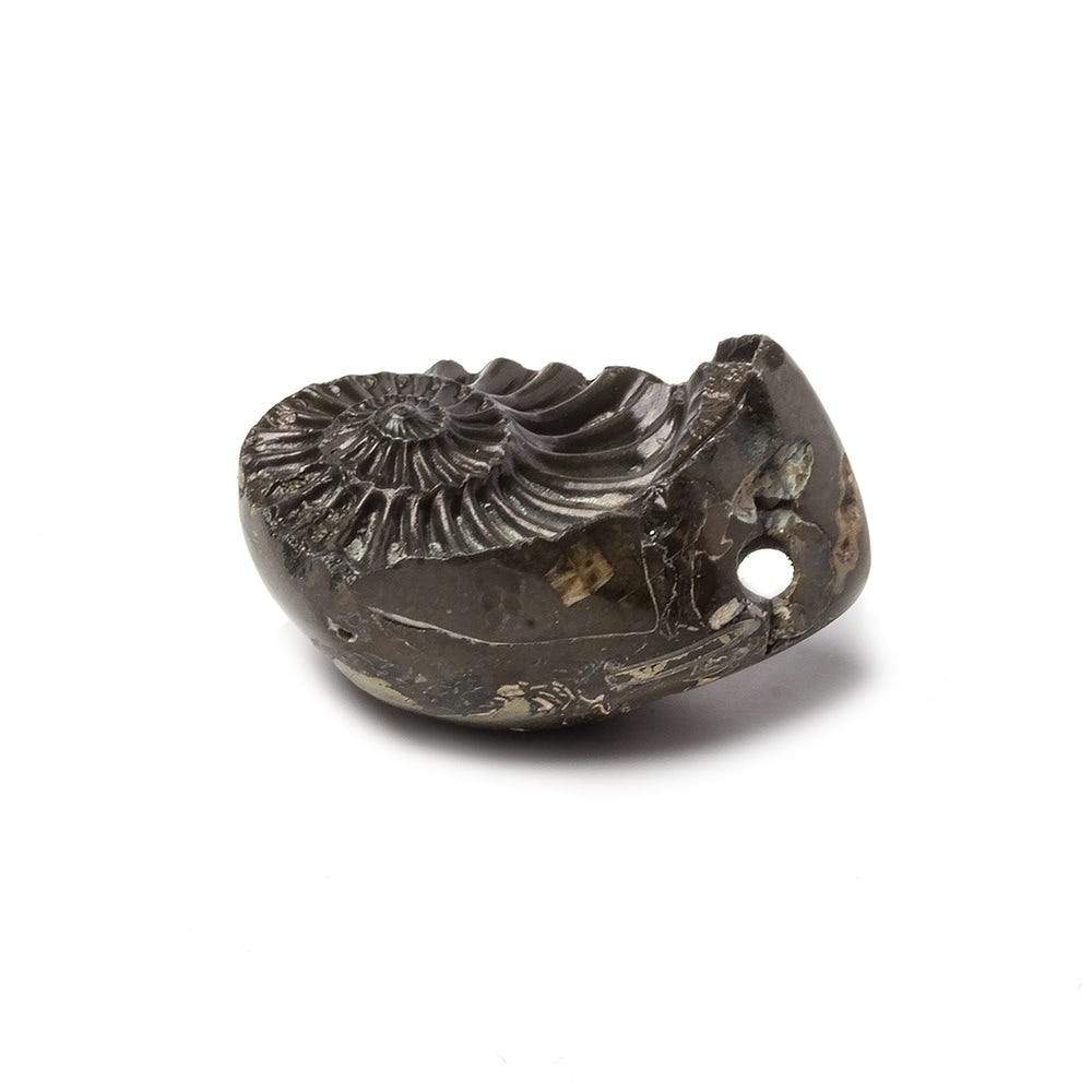 17x26mm Pyritized Ammonite  Fossil Focal Bead (ONLINE ORDER ONLY)