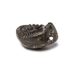 17x26mm Pyritized Ammonite  Fossil Focal Bead (ONLINE ORDER ONLY)