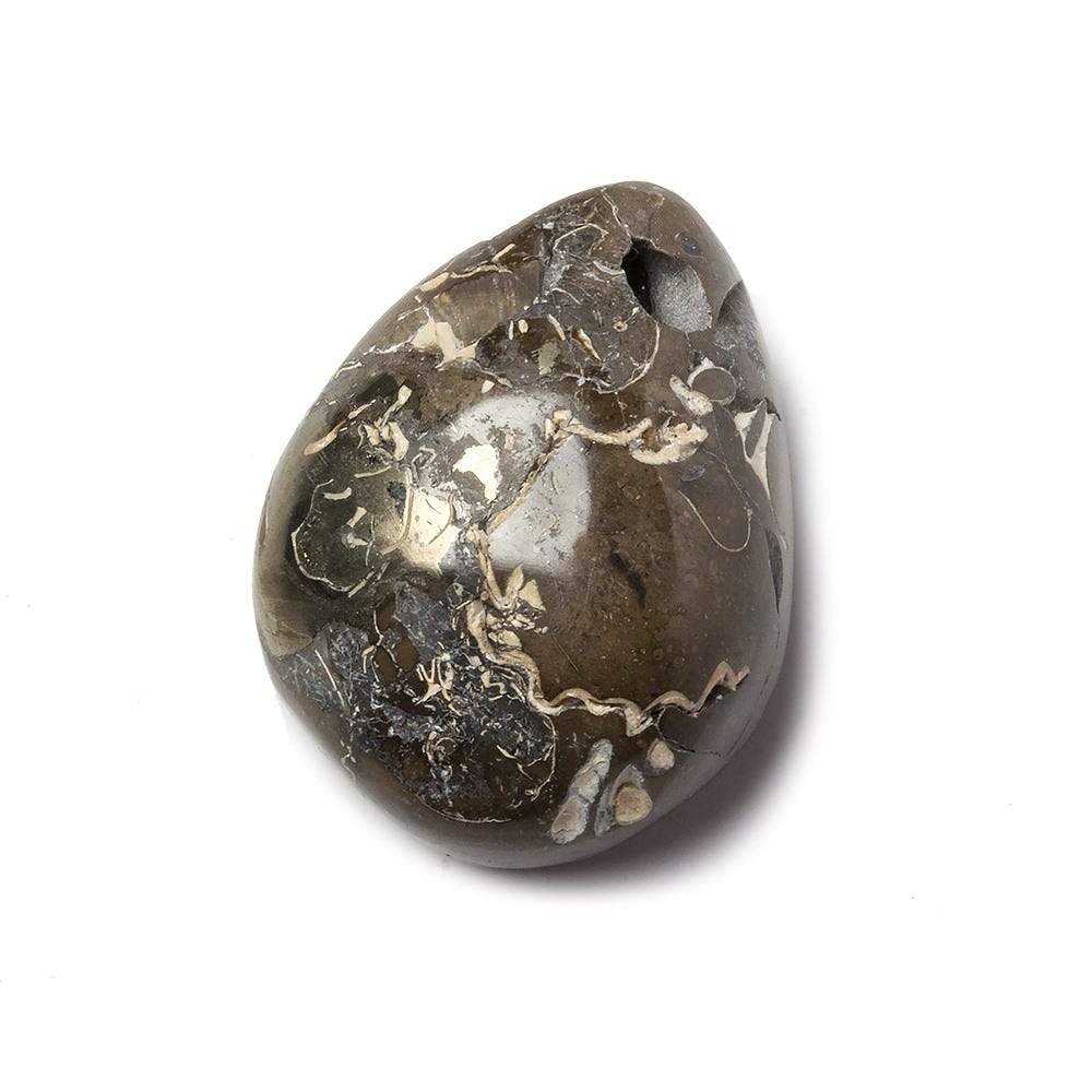 17x26mm Pyritized Ammonite  Fossil Focal Bead (ONLINE ORDER ONLY)