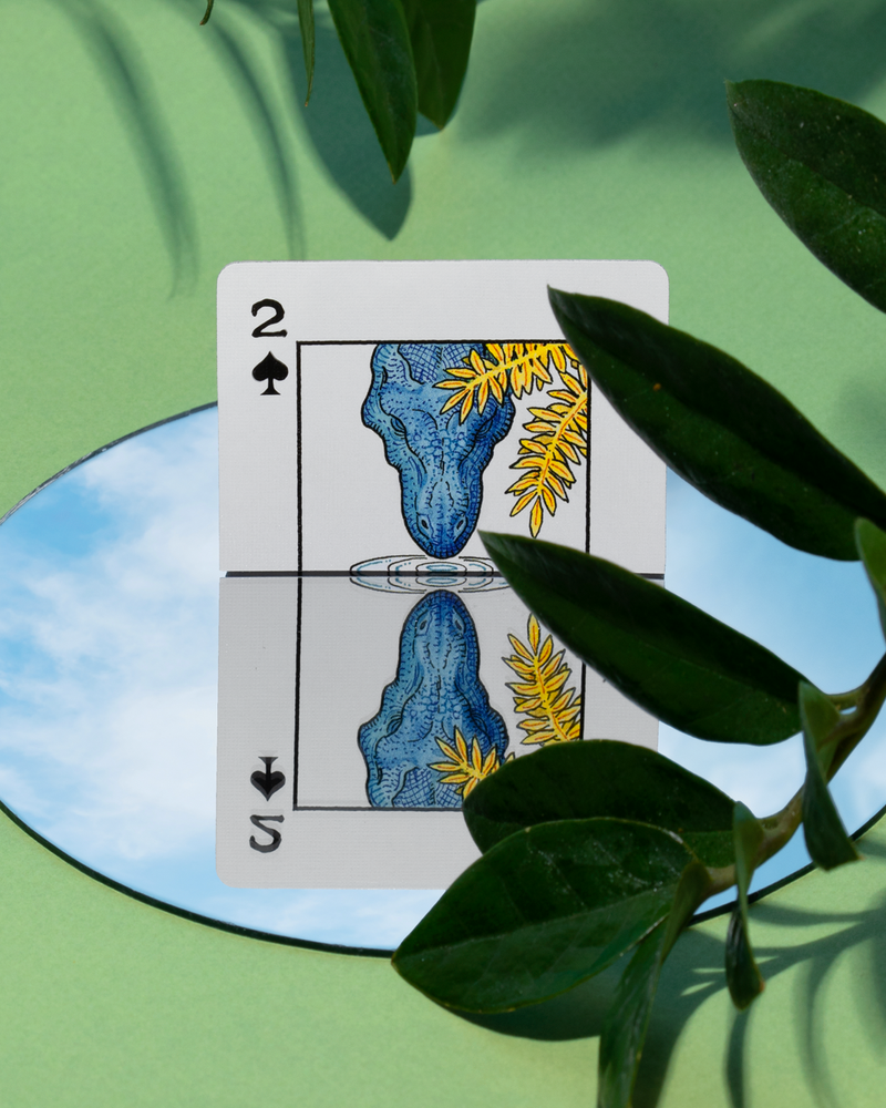 Dinosaur Playing Cards (ONLINE ORDER ONLY)