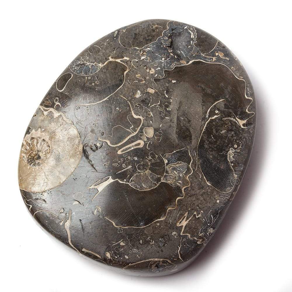 18x39mm Pyritized Ammonite Fossil Focal Bead (ONLINE ORDER ONLY)
