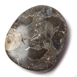 18x39mm Pyritized Ammonite Fossil Focal Bead (ONLINE ORDER ONLY)