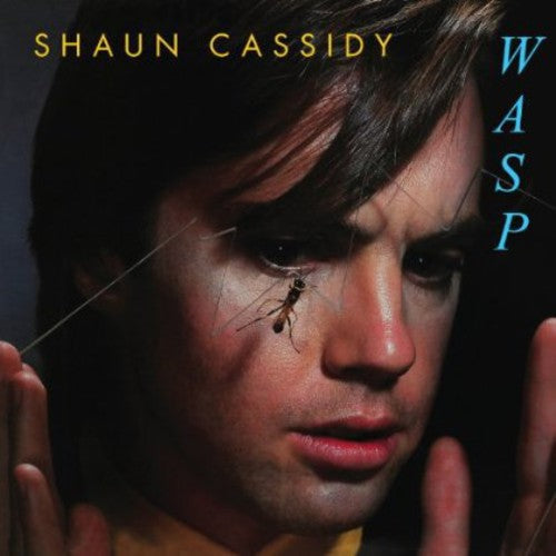 Wasp [Import]