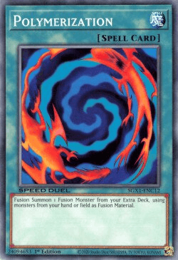 Polymerization [SGX1-ENC12] Common (ONLINE ORDER ONLY)