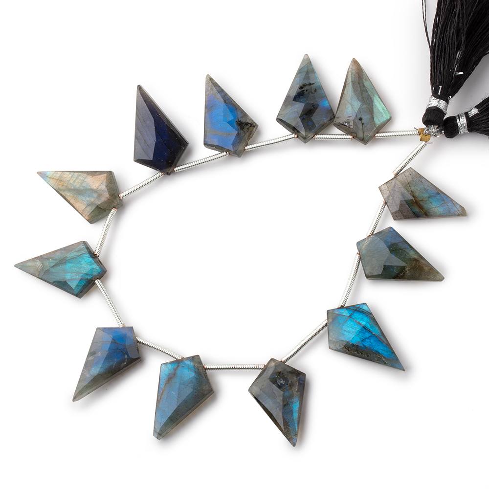 20-22mm Labradorite Faceted Shield Beads 7 inch 11 pieces (ONLINE ORDER ONLY)