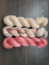 Farm Fresh eggs 3 skein kit (ONLINE ORDER ONLY)