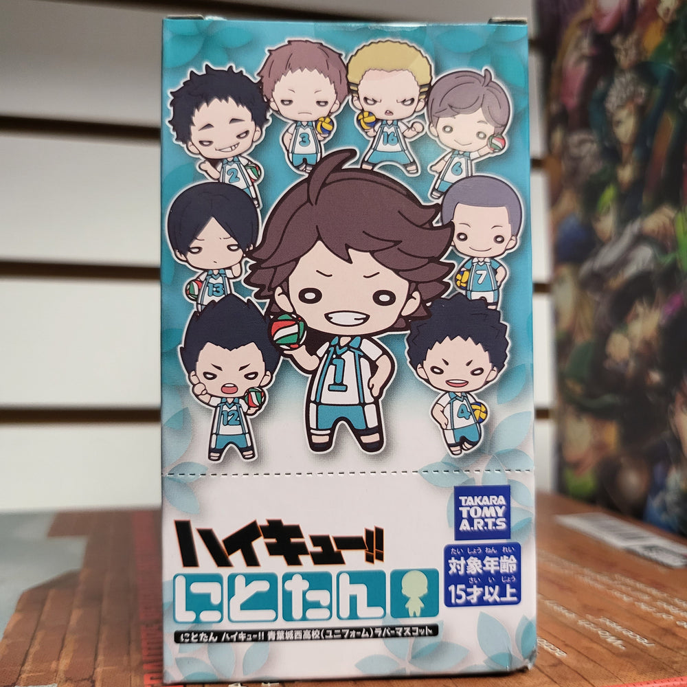 Haikyuu Rubber Keychain Blind Box (ONLINE ORDER ONLY)