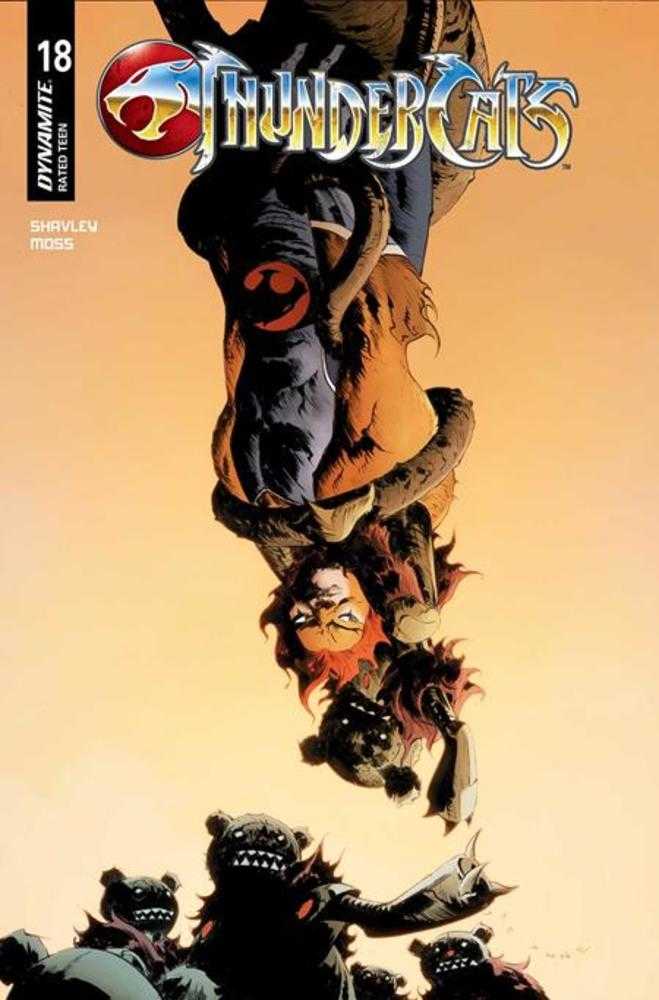 Thundercats #18 Cover C Jae Lee June Chung Variant (ONLINE ORDER ONLY)