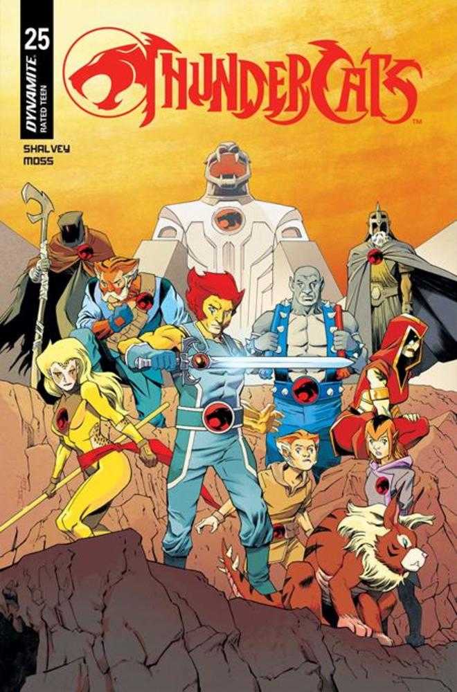 Thundercats #25 Cover B Declan Shalvey Variant (ONLINE ORDER ONLY)