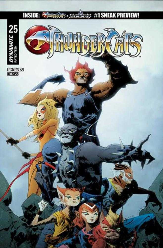 Thundercats #25 Cover C Jae Lee Variant (ONLINE ORDER ONLY)