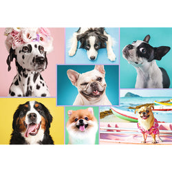 Trefl Red Cute Dogs 1500 Piece Puzzle (ONLINE ORDER ONLY)