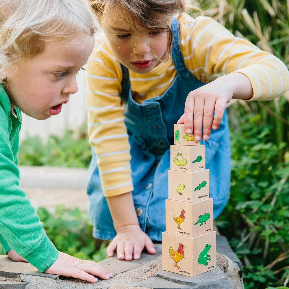 Life Cycle Wooden Blocks (ONLINE ORDER ONLY)