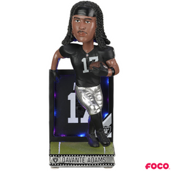 Light Up Back Plate Bobbleheads (ONLINE ORDER ONLY)