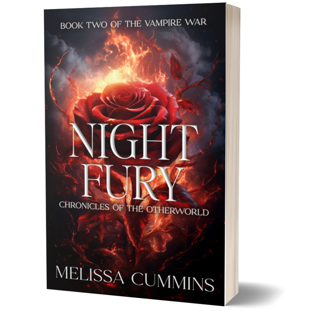 Night Fury Paperback (Online Order Only)
