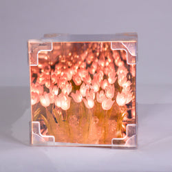 Tulip Mirror LED Night Light - Pink (ONLINE ORDER ONLY)