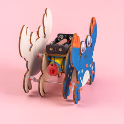 Sound-Activated Walking Crab STEM Kit – Build, Paint & Watch It Walk (ONLINE ORDER ONLY)