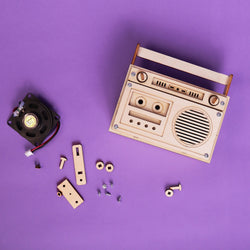 60 Seconds Voice Recorder DIY Kit, Educational STEM Toy (ONLINE ORDER ONLY)