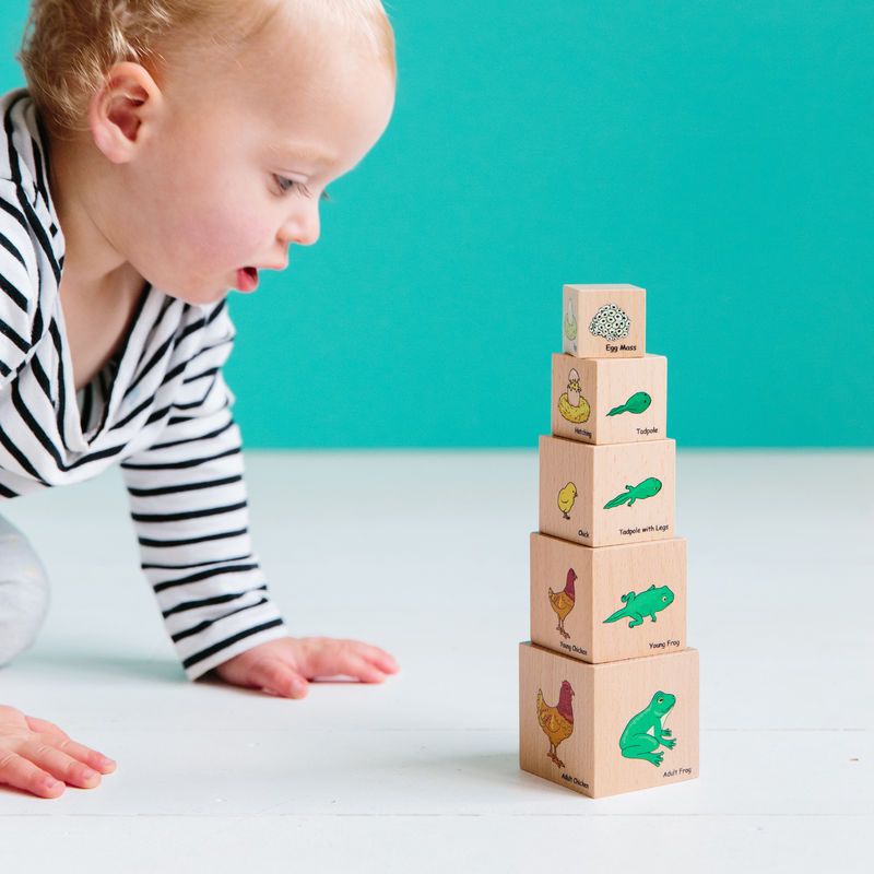 Life Cycle Wooden Blocks (ONLINE ORDER ONLY)