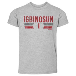 Davison Igbinosun College Font (ONLINE ORDER ONLY)